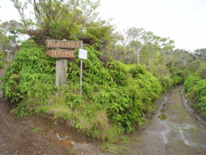 Molokai Hiking Trails