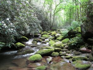 Smoky Mountains National Park