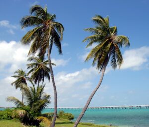 Bahia Honda