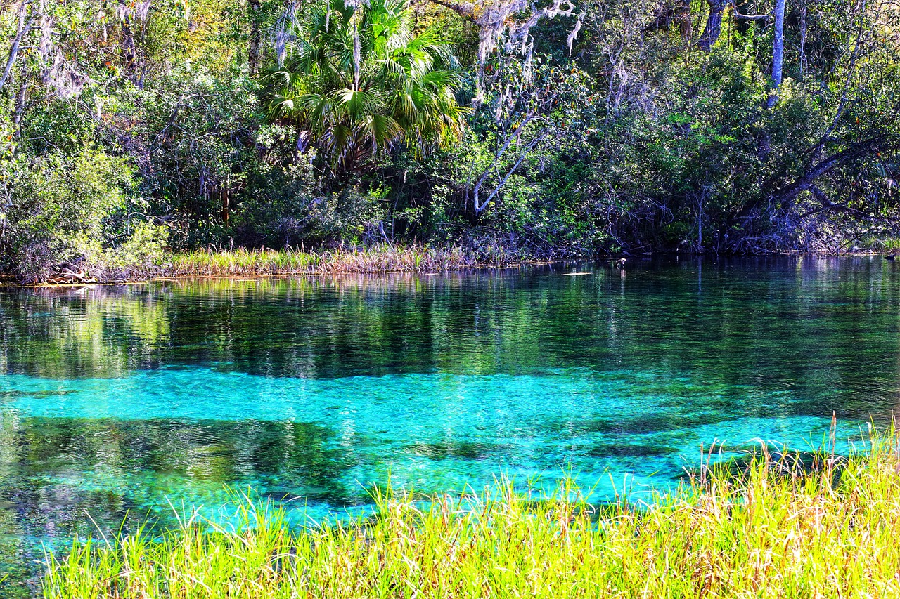 places to visit in Florida beyond the theme parks