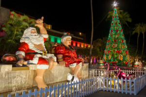 Honolulu City Lights